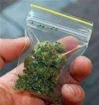 Cannabis