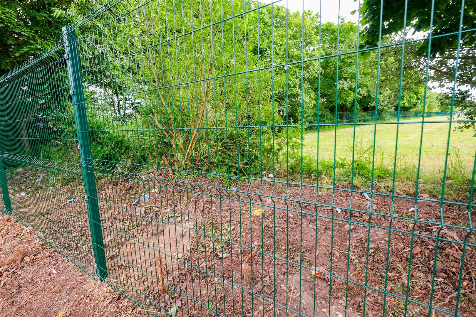 Hedgerow along Monks Lane on the boundary of Park House School cut down over half term break