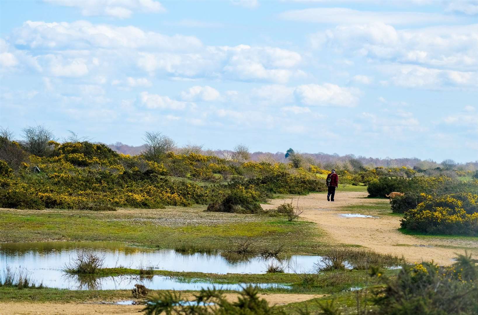 Greenham Common