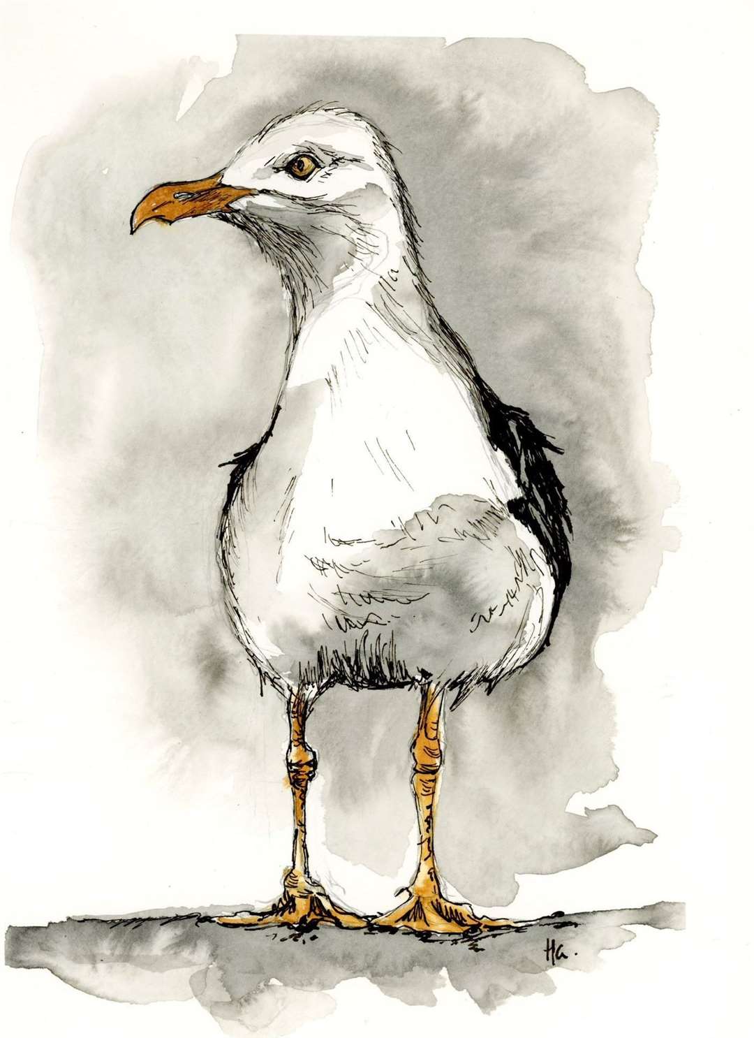 Helen Grimbleby illustration