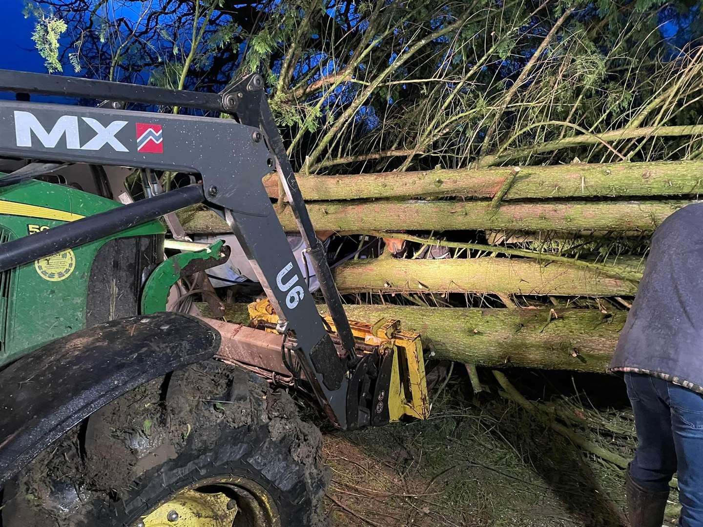 A tractor had to be used to stabilise the trunks