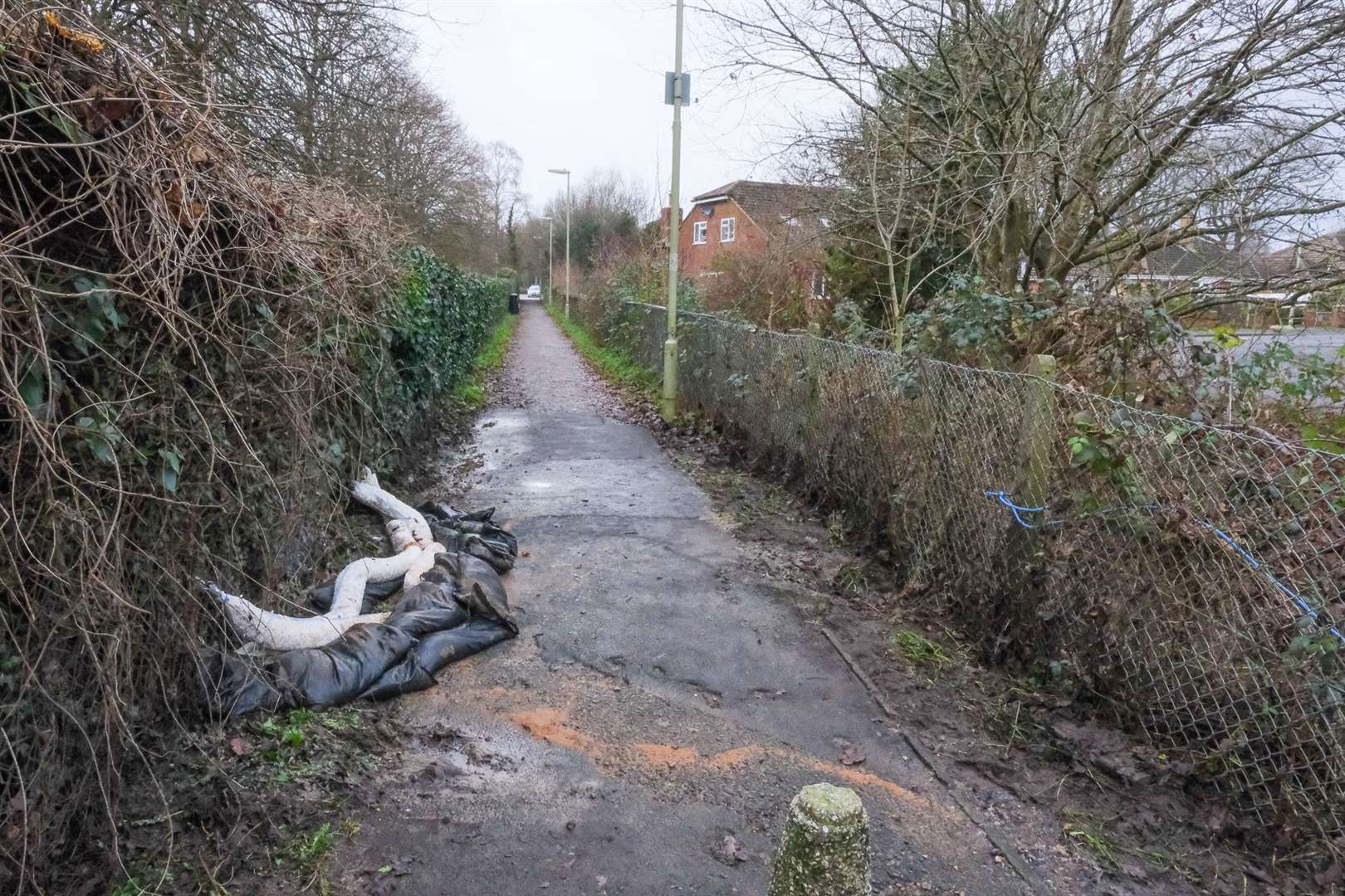 Photos taken of the raw sewage spill on Wednesday, January 4