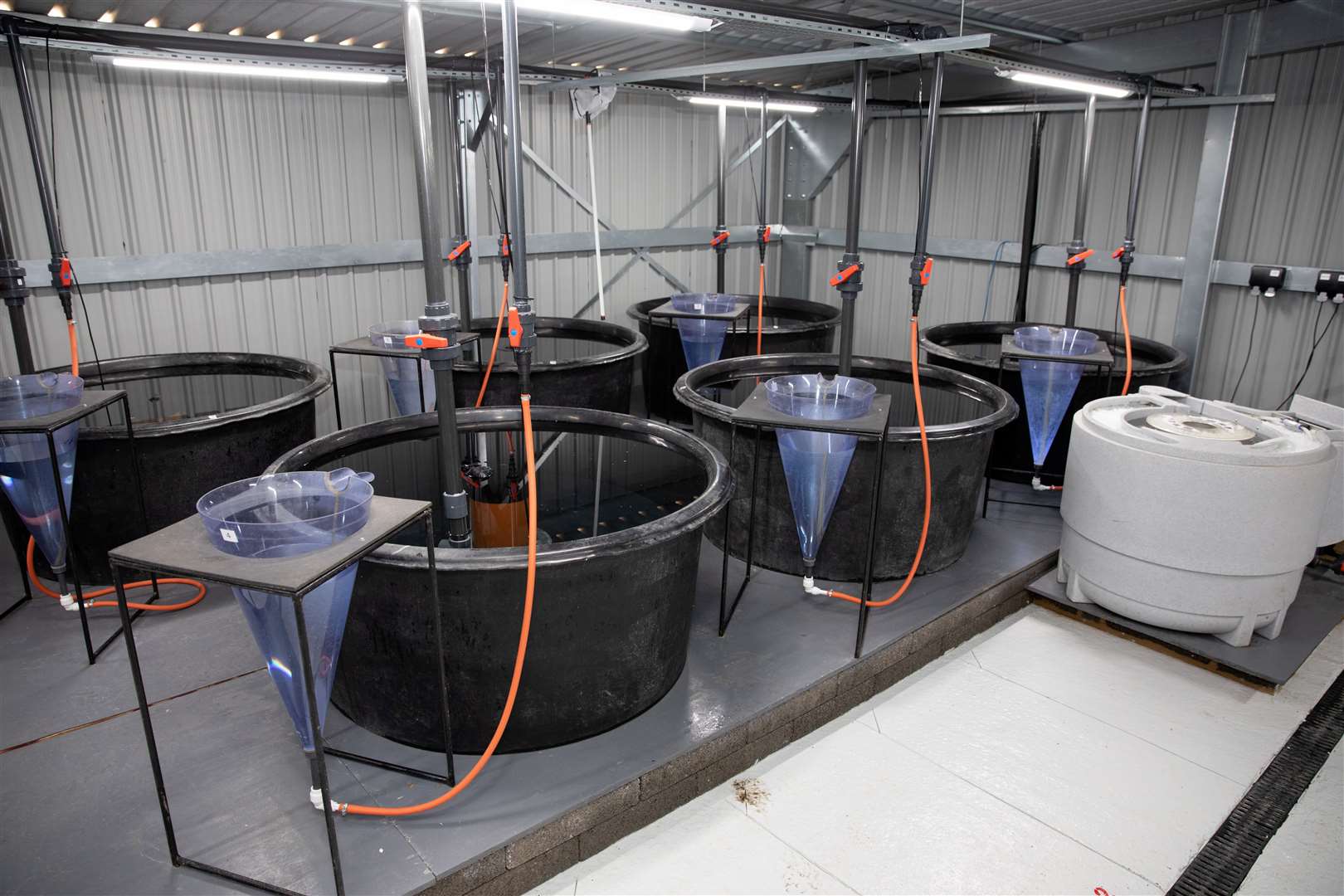 Inside the new coarse fish hatchery at Englefield Estate. Credit: Reading District Angling Association