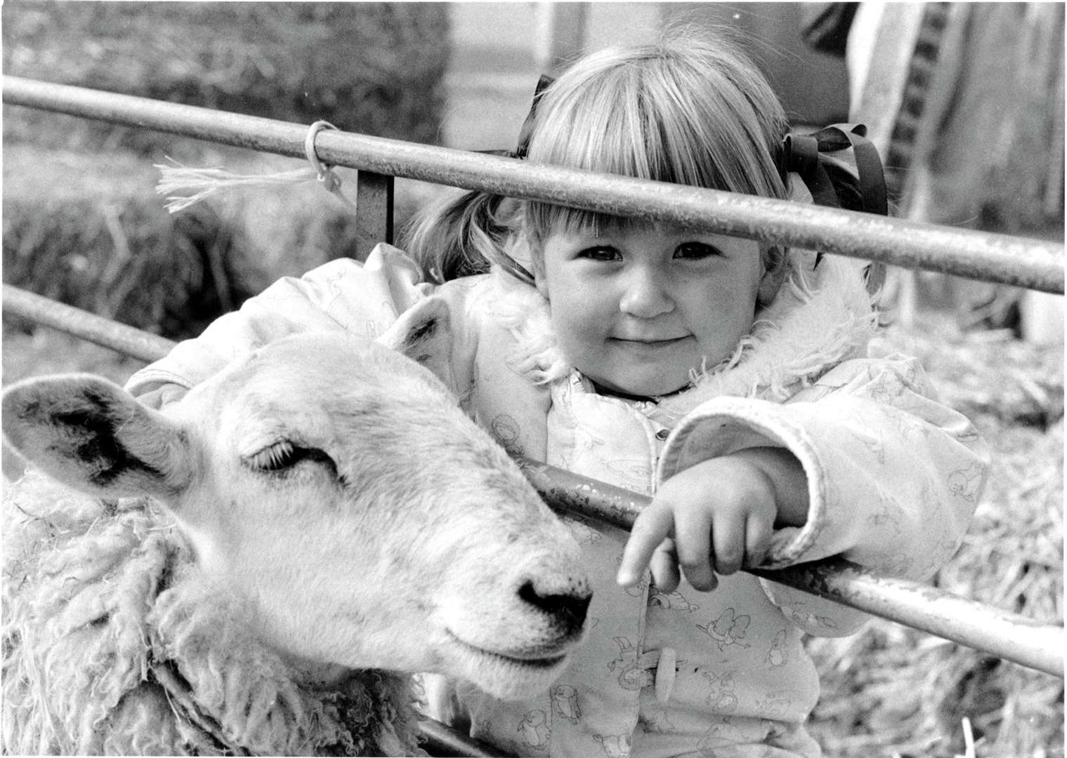 Newbury Show in 1991