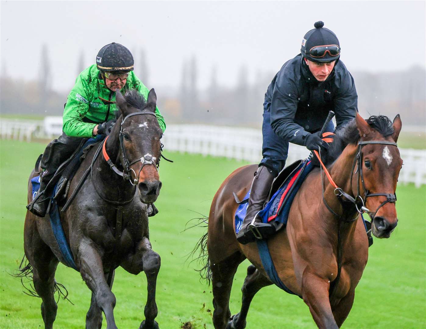 Constitution Hill (left) and Sir Gino (right)