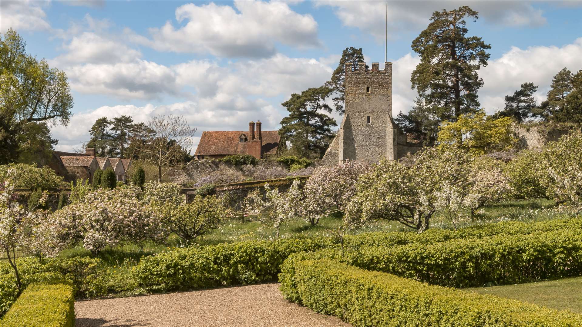 Traditional orchard in the walled garden at Greys Court. Picture credit: Hugh Mothersole, National Trust