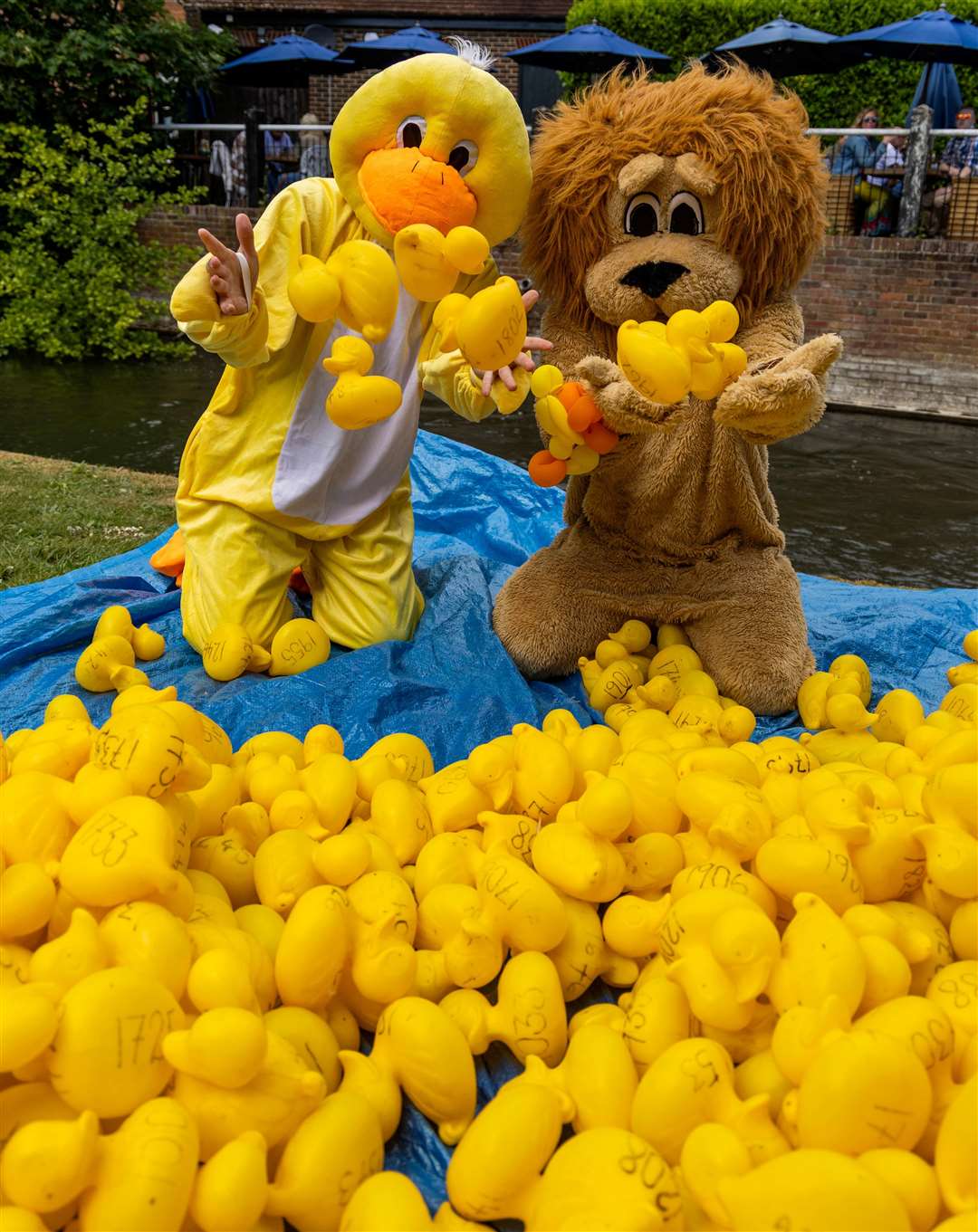 Newbury Duck Race