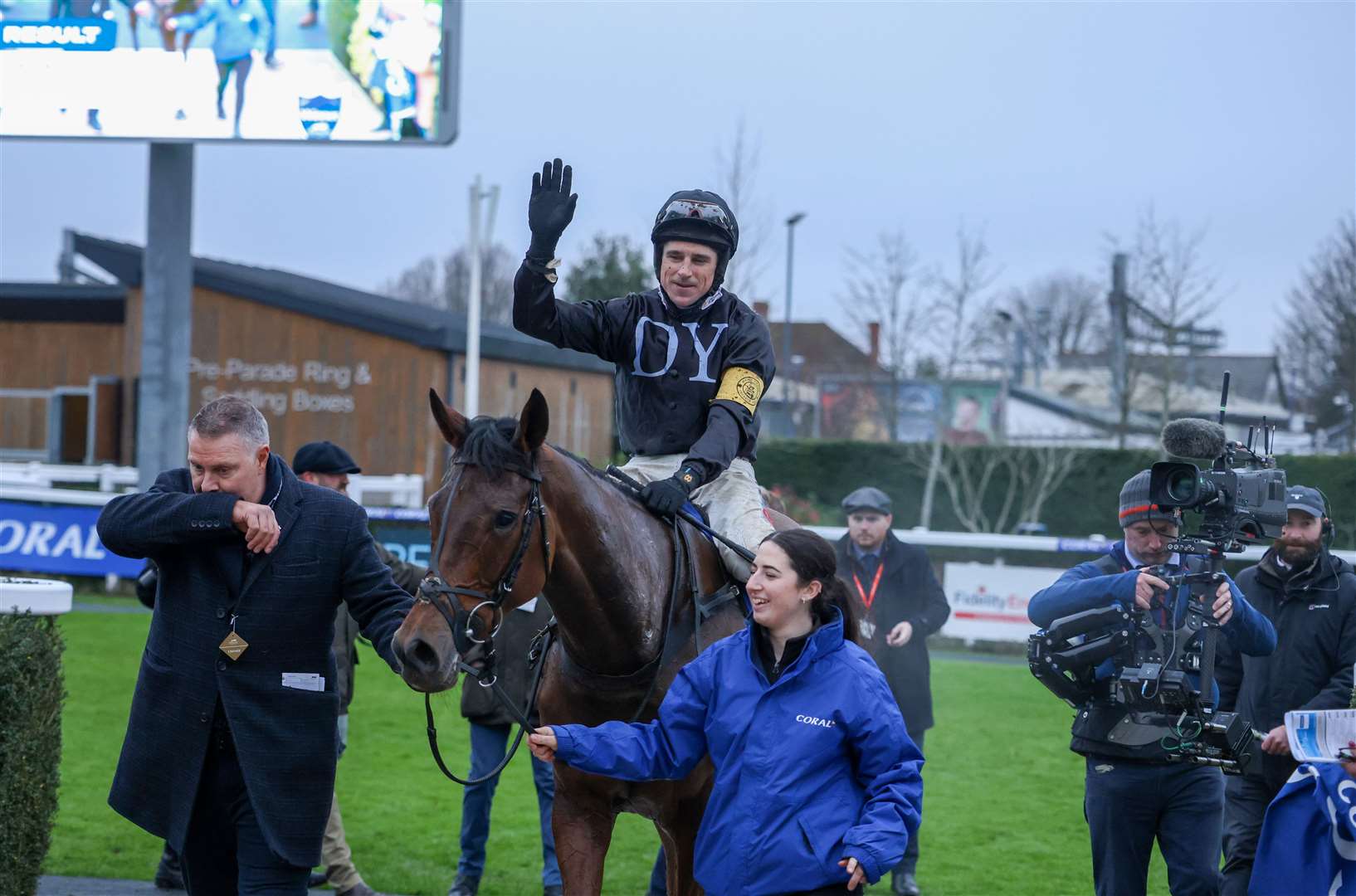 The New Lion has been sold to JP McManus