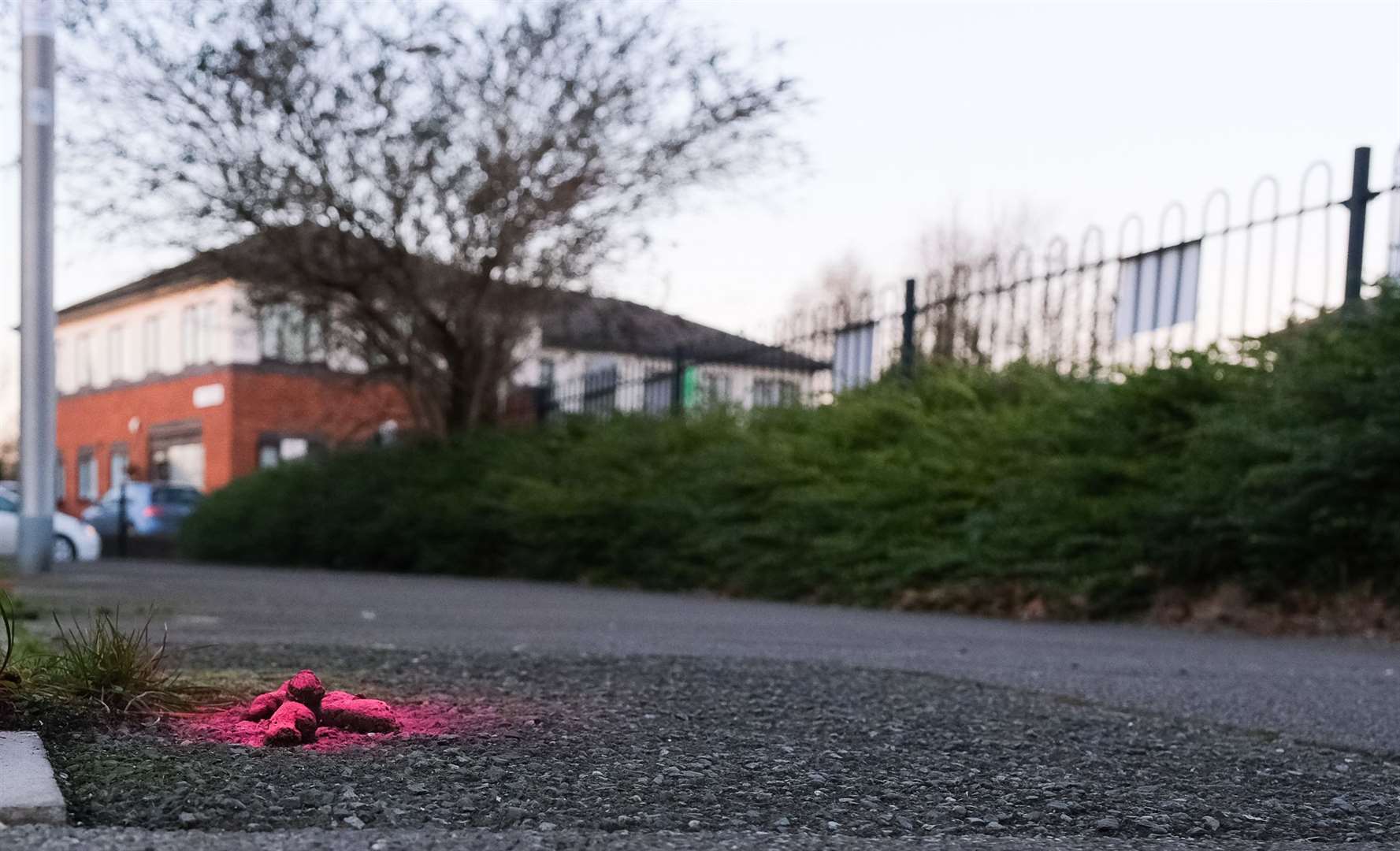 PPP appeal to clear up dog poo in Newbury