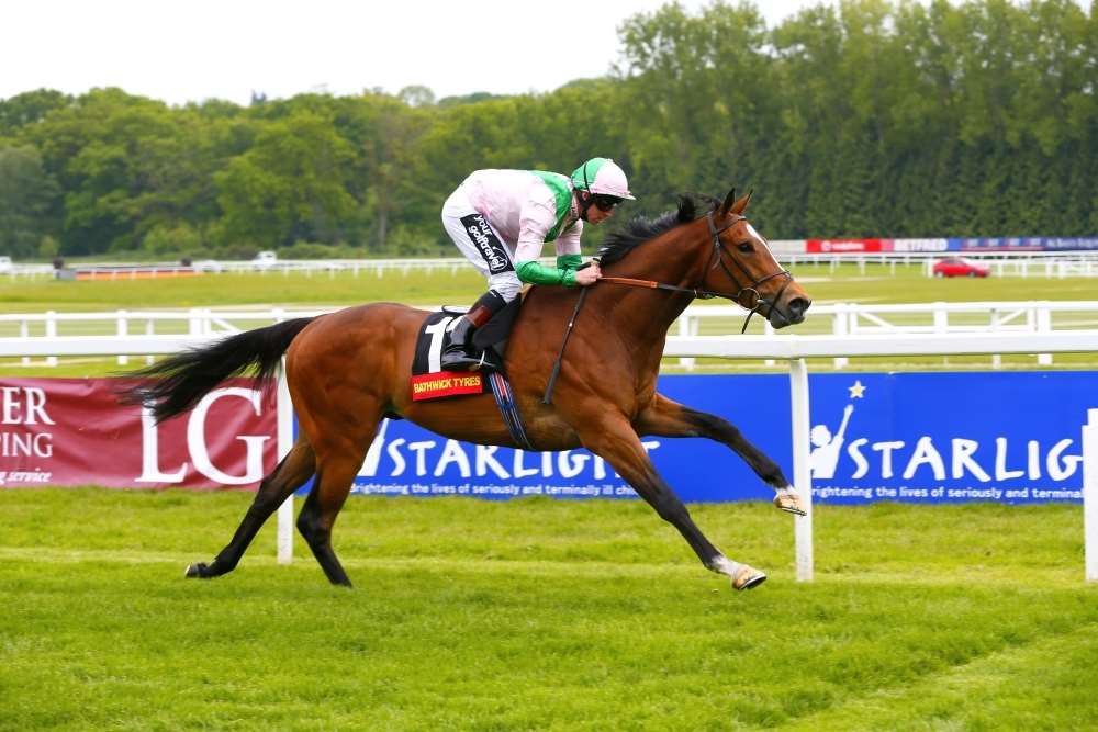 Scottish, formerly trained at Kingsclere, is a possible runner on Saturday