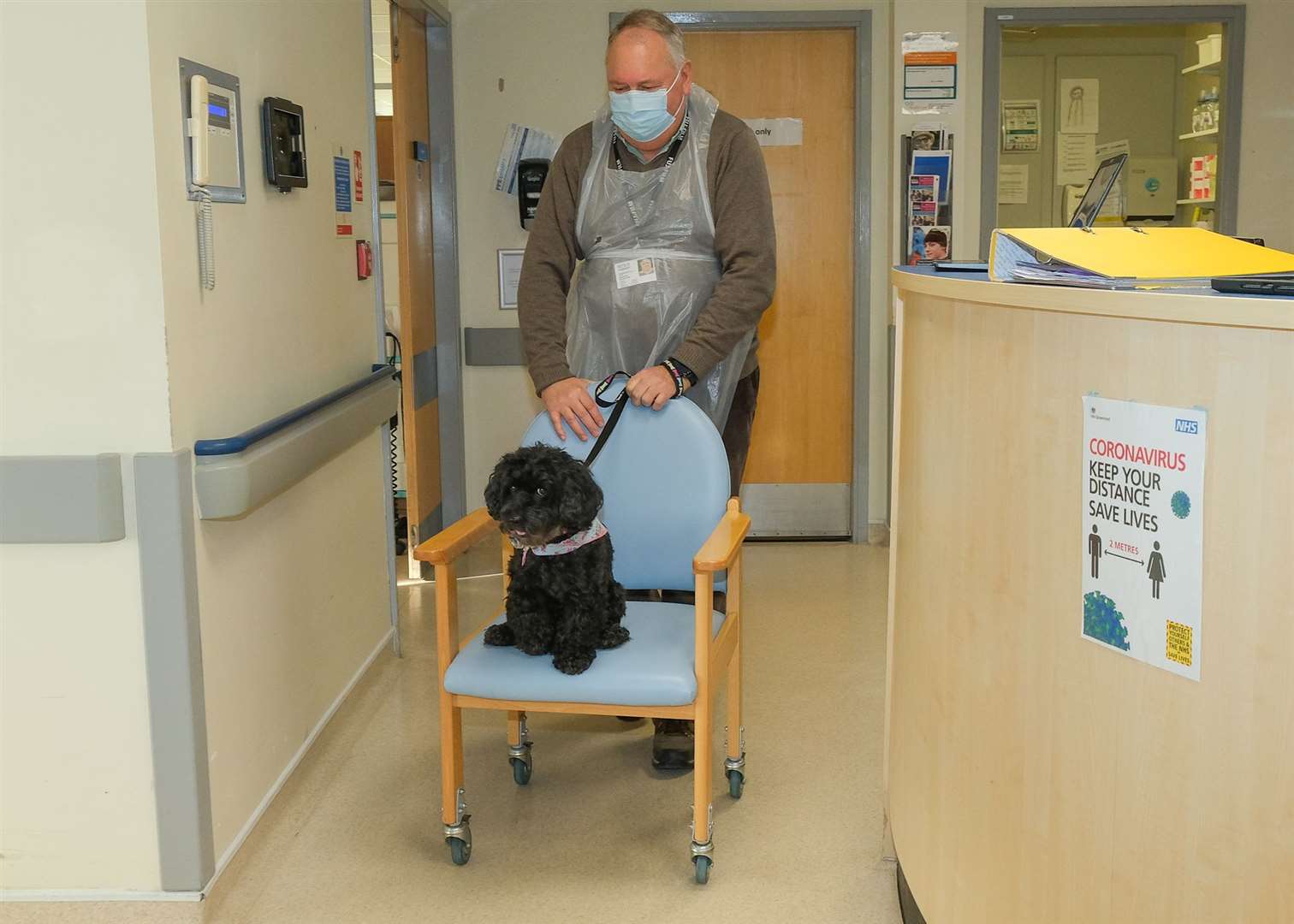 Barry pushes Bella the therapy dog around the wards at West Berkshire Community Hospital Ref: 05-0122