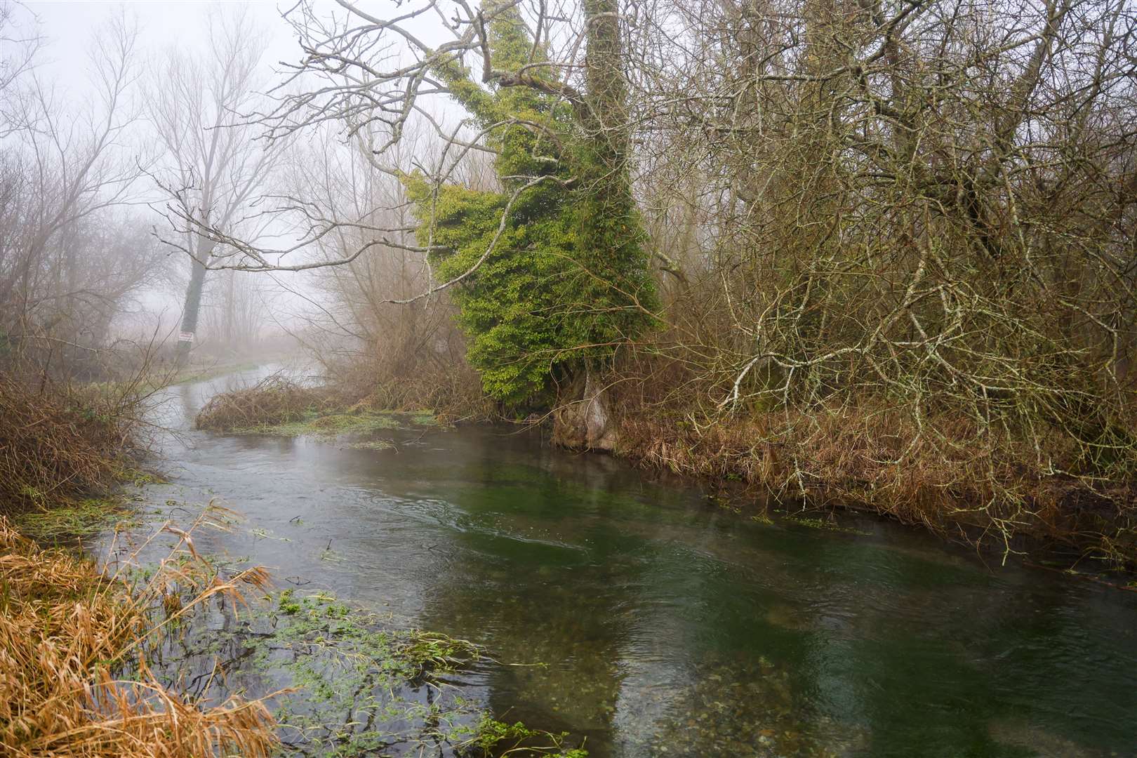 River Lambourn