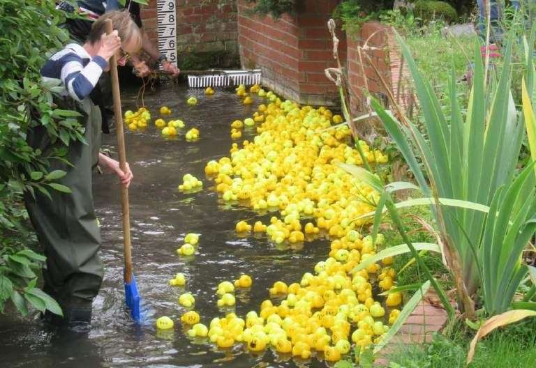 Nearly 300 rubber ducks battle it out in Kingsclere duck race