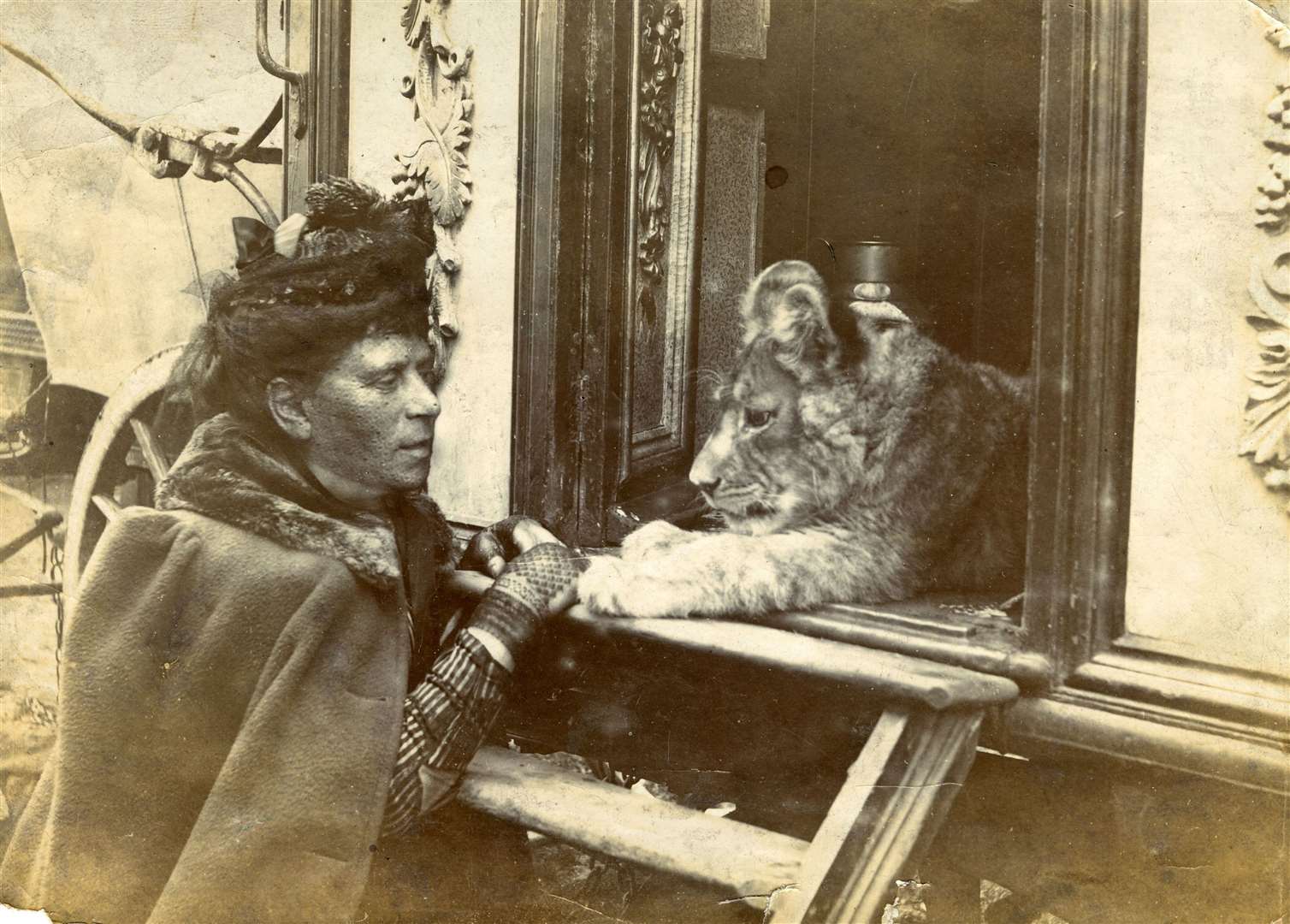 Ellen Sanger (née Chapman), lion tamer and wife of George Sanger, in 1893. She performed under the name of Madame Pauline De Vere, the Lion Queen. She died aged 67 in 1899. Images (except book cover and lions ) courtesy of the National Fairground and Circus Archive, University of Sheffield Library