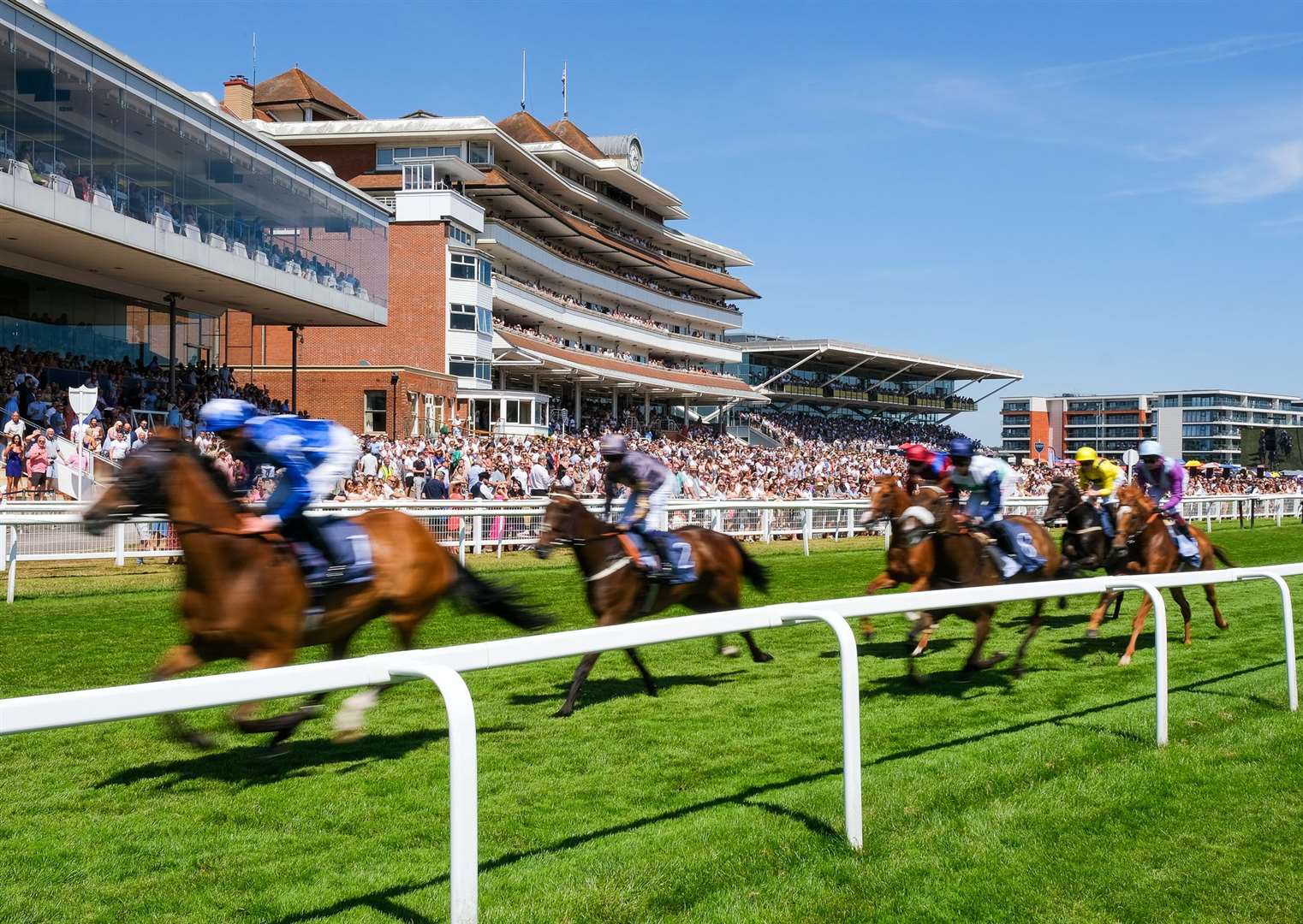 It's been a Flat season full of ups and downs at Newbury Racecourse
