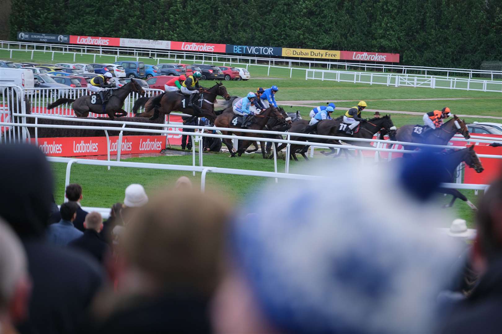 Ladbrokes winter carnival at Newbury Racecourse ..Ref:48-0921. (53361844)