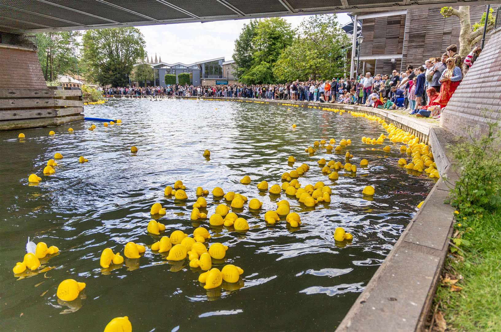 Newbury Duck Race
