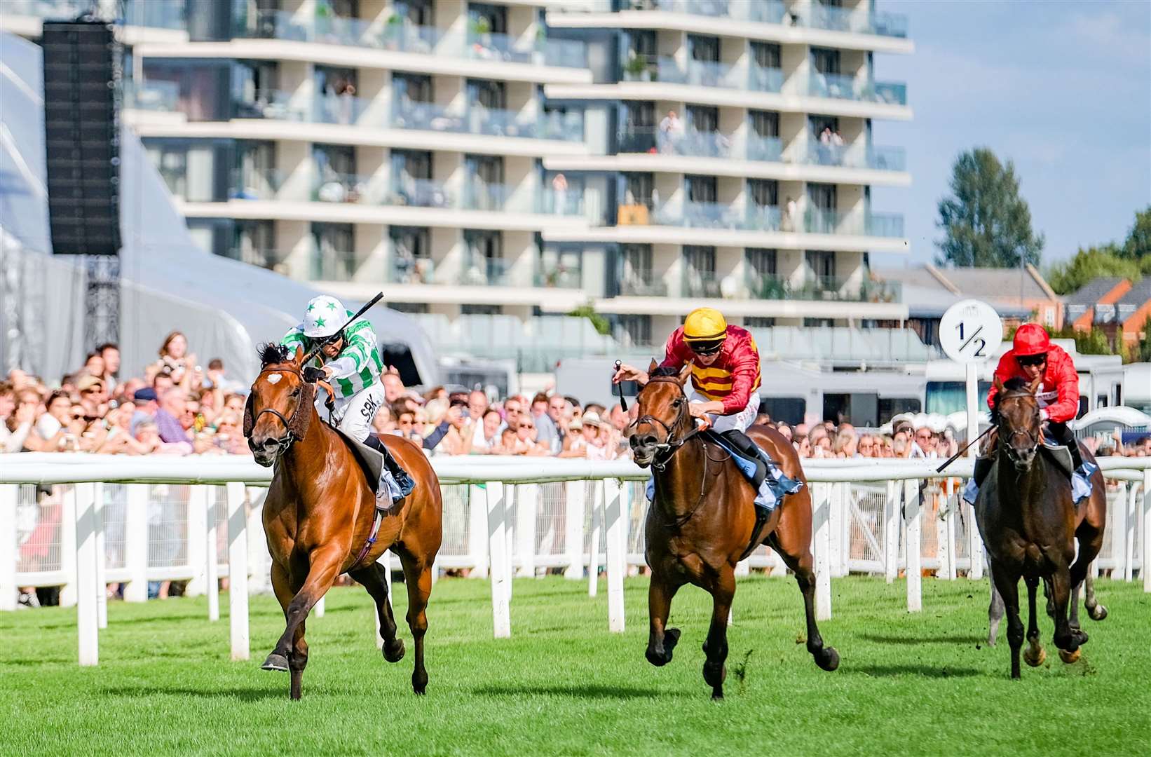 It’s set to be another thrilling year of flat and jump racing at Newbury
