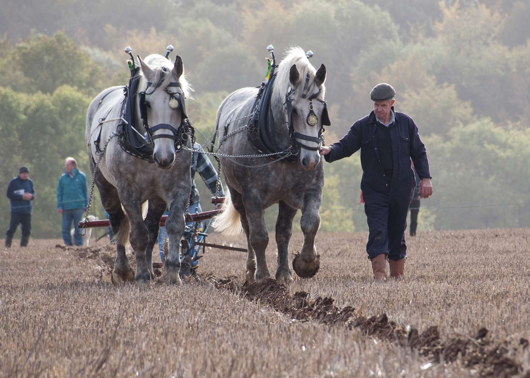 Ploughing match next weekend