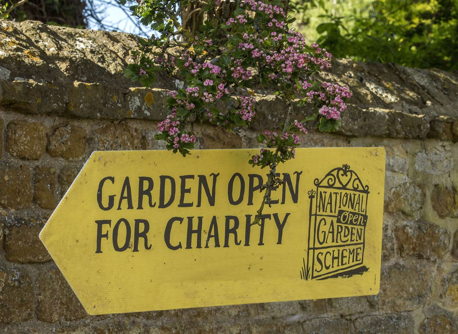 National Garden Scheme open gardens