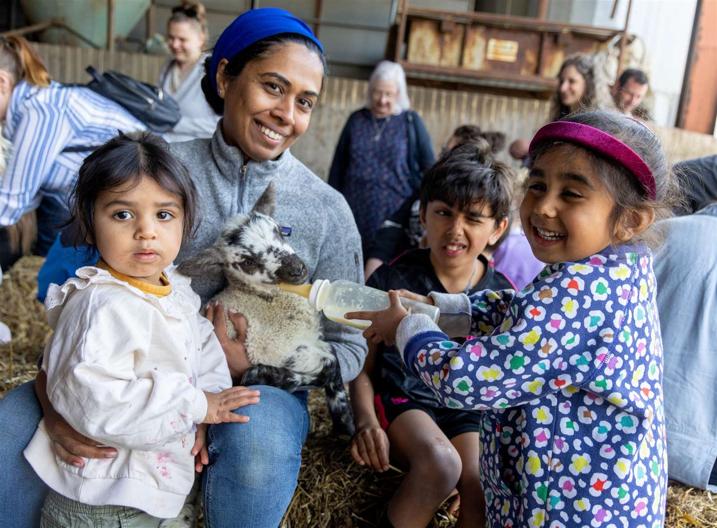 Lambing day at Foxglove Farm
