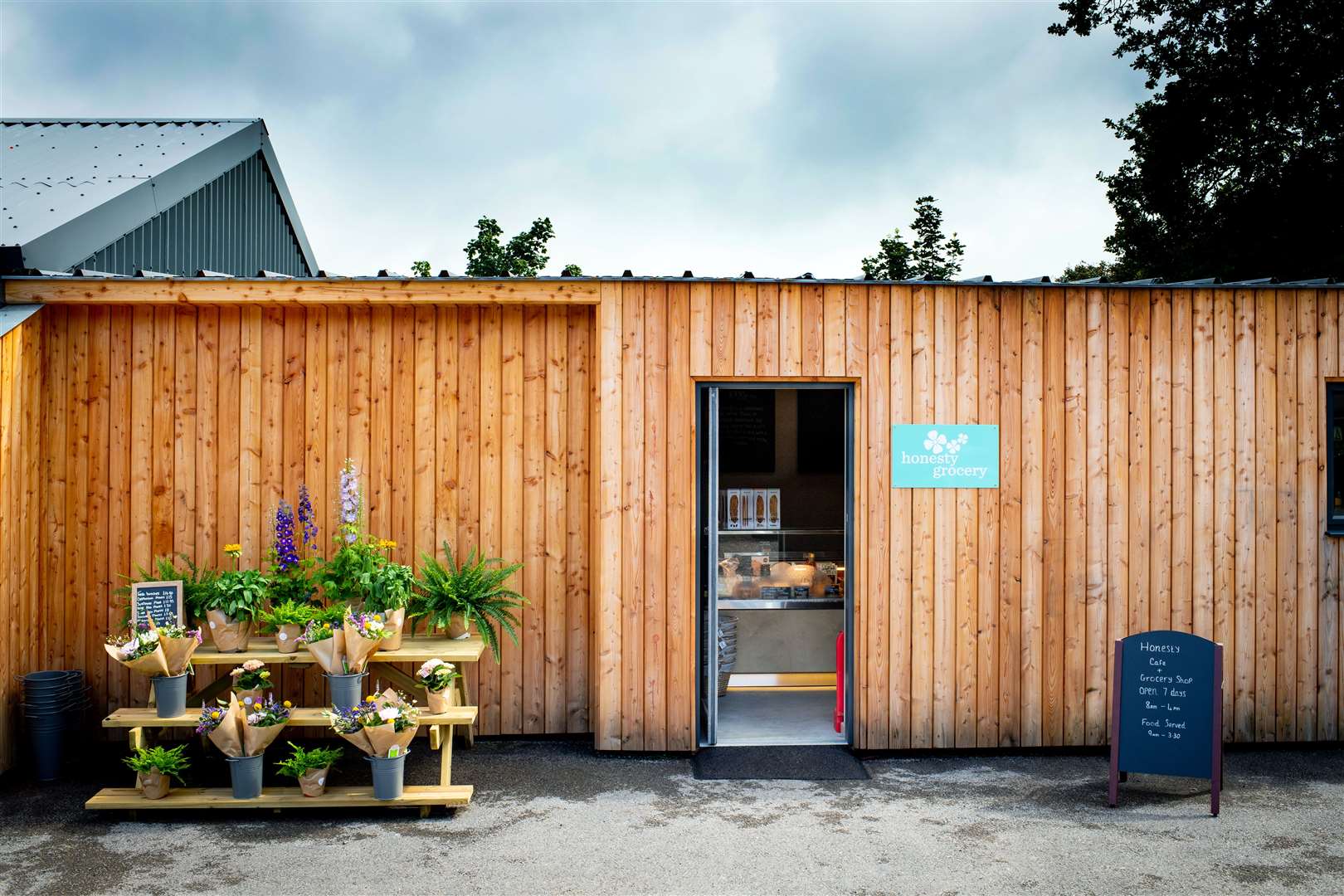 Dummer Down Honesty Cafe