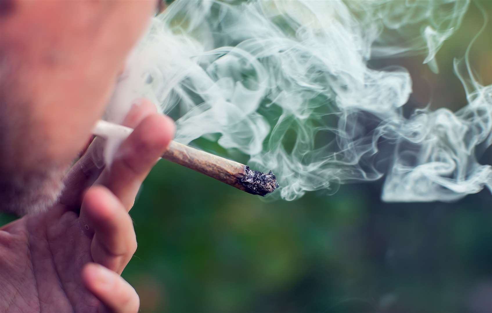 Cannabis