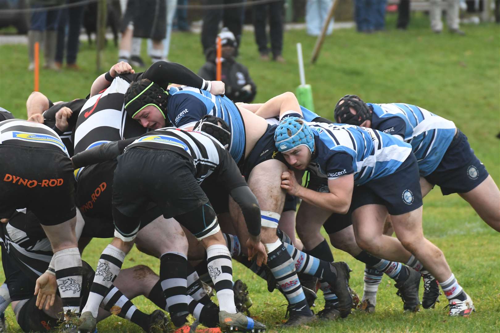 Strong scrummaging from Blues. Pic: Peter Branch