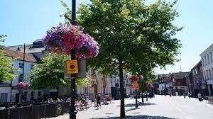 Newbury in bloom (58004273)