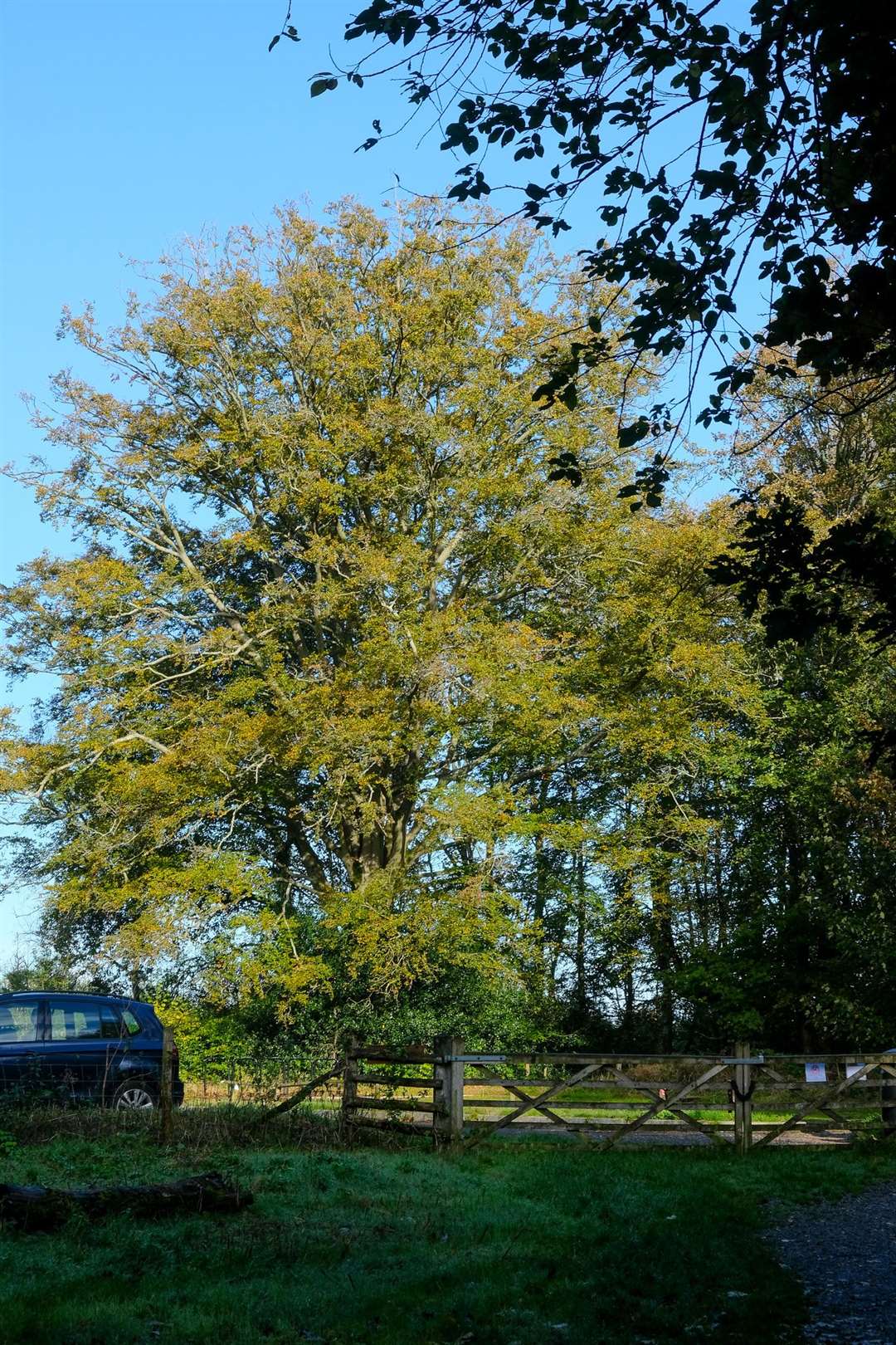 The Chase at Woolton Hill.Ref: 44-1621. (52811534)