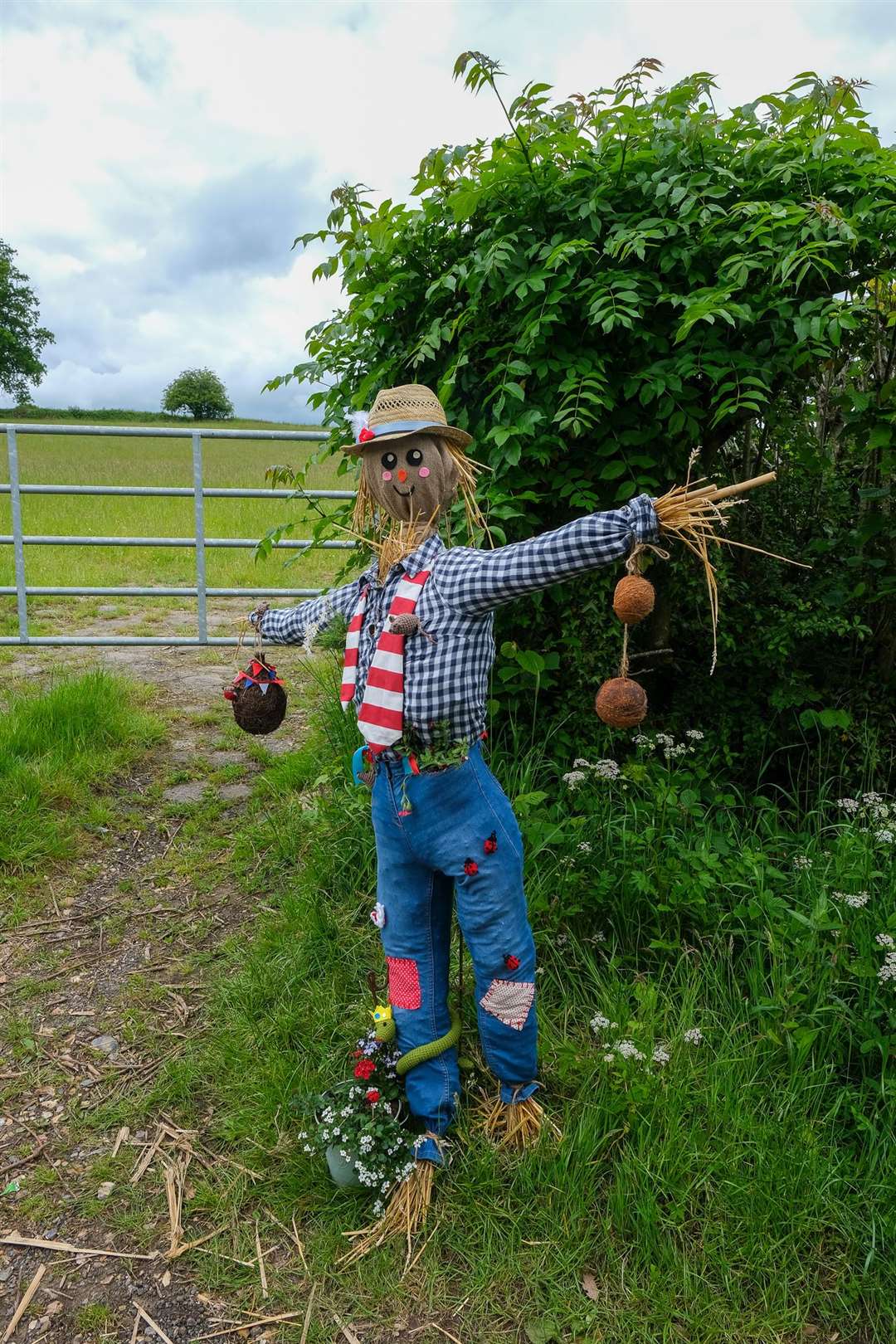 Burghclere Jubilee Scarecrow Trail. (57052014)