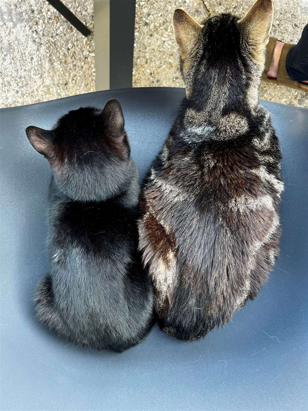 Ted with his brother Max, who died in June