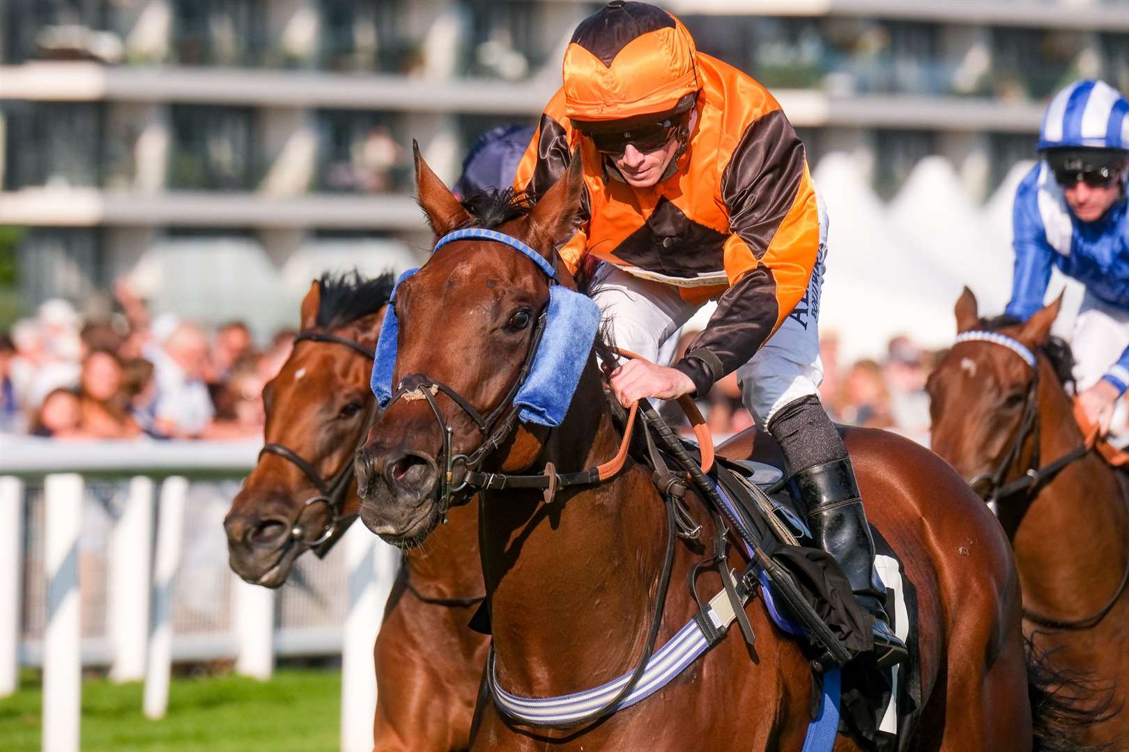 Bear Force One winning at Newbury Ref: 34-1421F