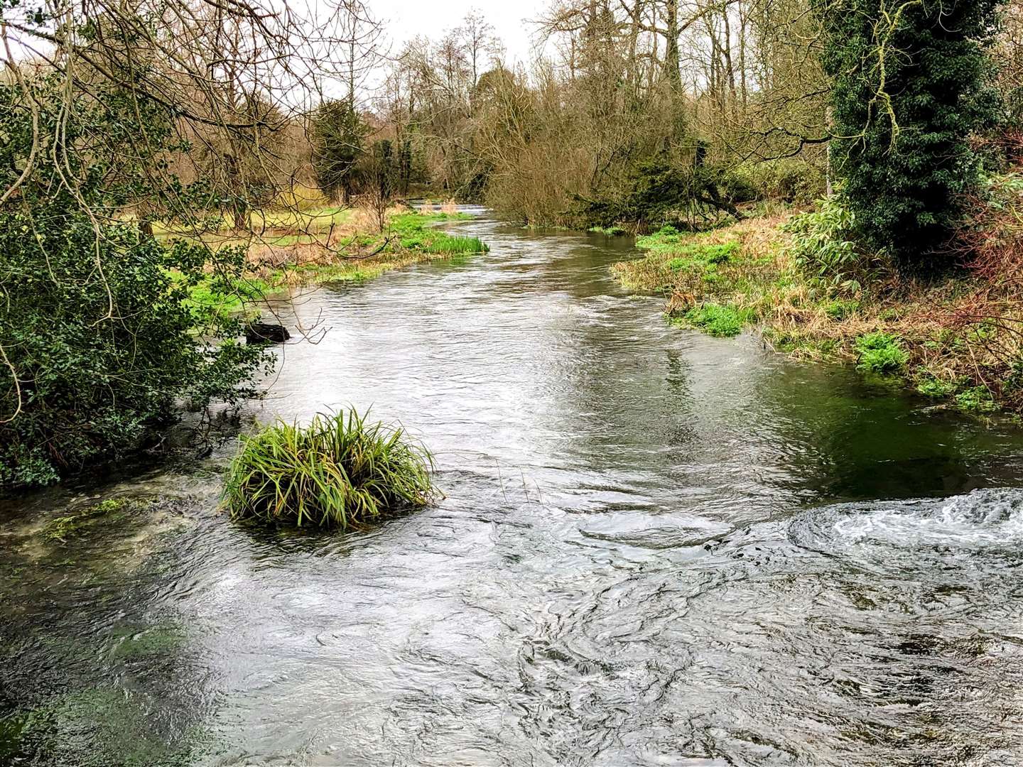 The River Lambourn at Welford Park