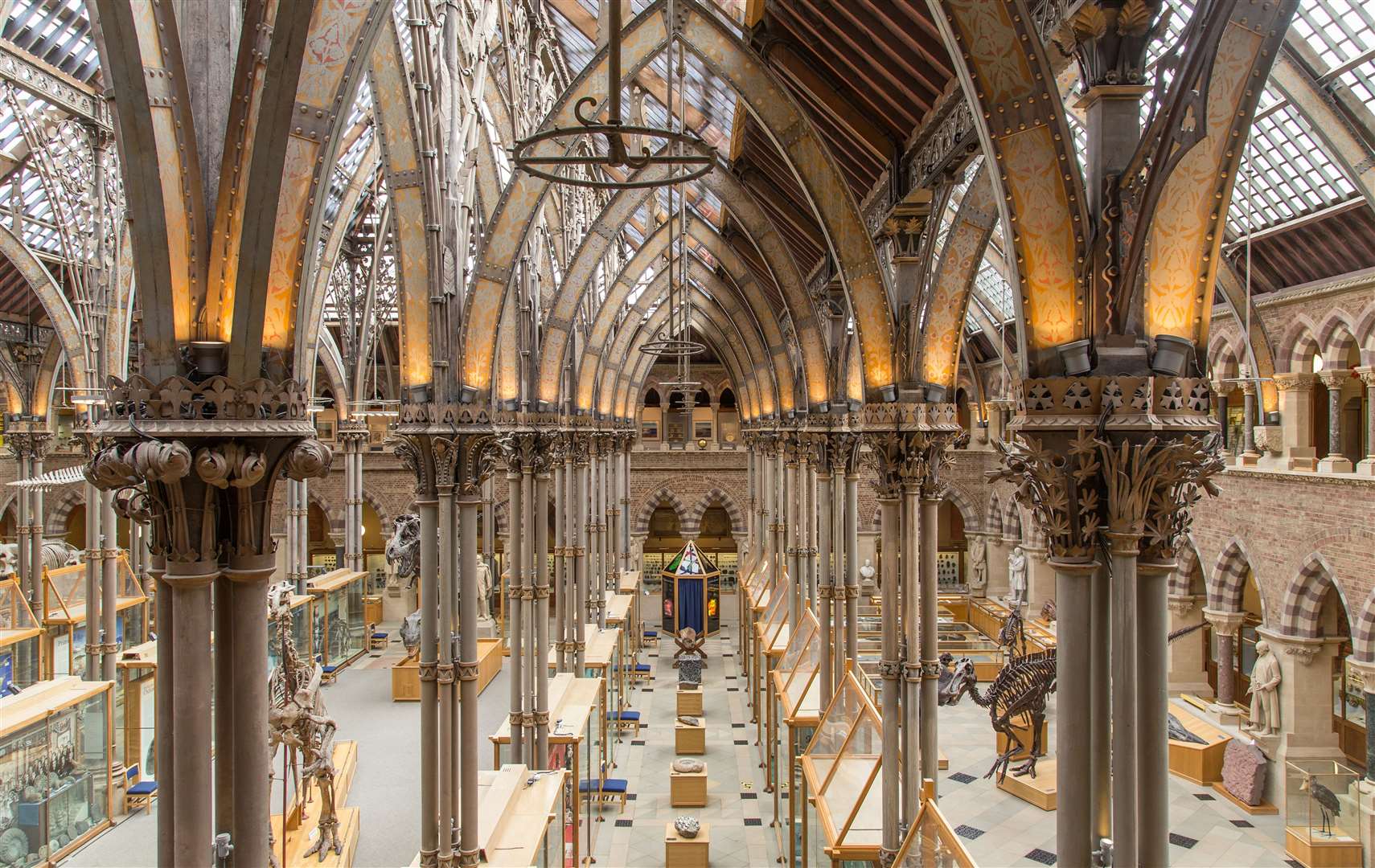 OU Museum of Natural History Pic: UniversityofOxford