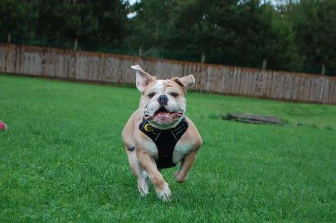 Winston