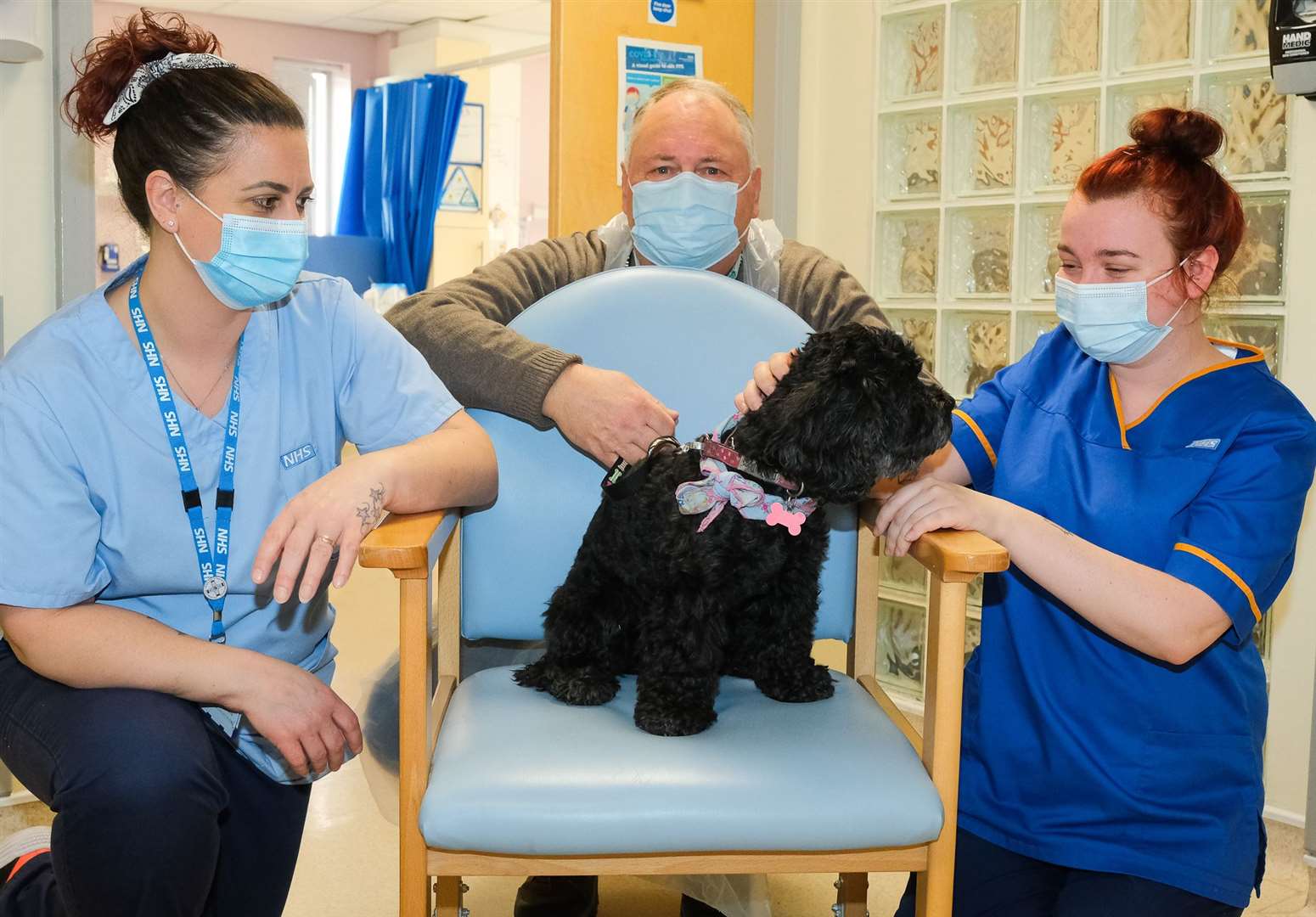 Bella the therapy dog visits West Berkshire Community Hospital .Ref: 05-0122