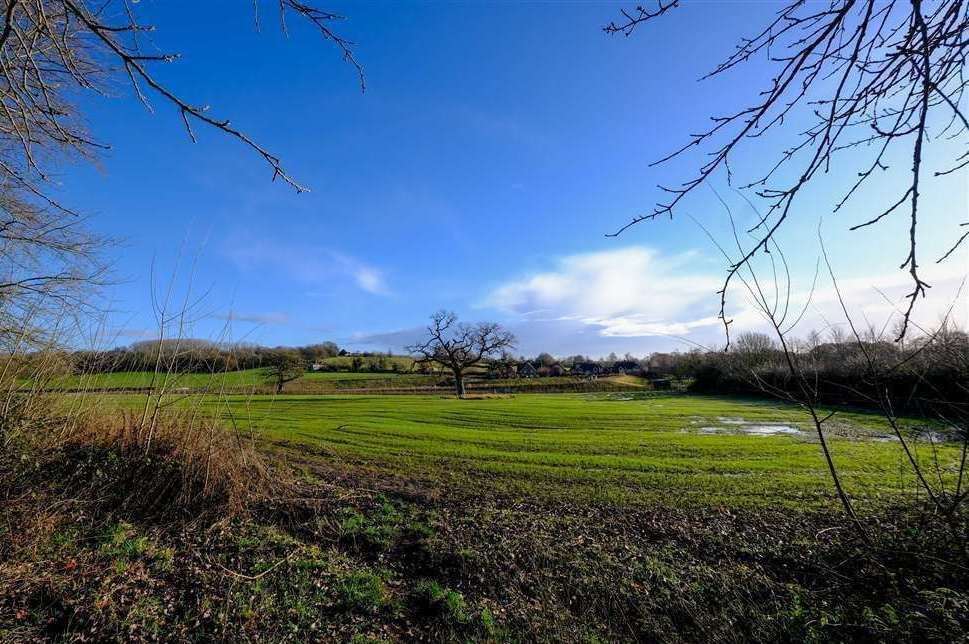 The fields in Thatcham where some of the 2,500 homes could be built