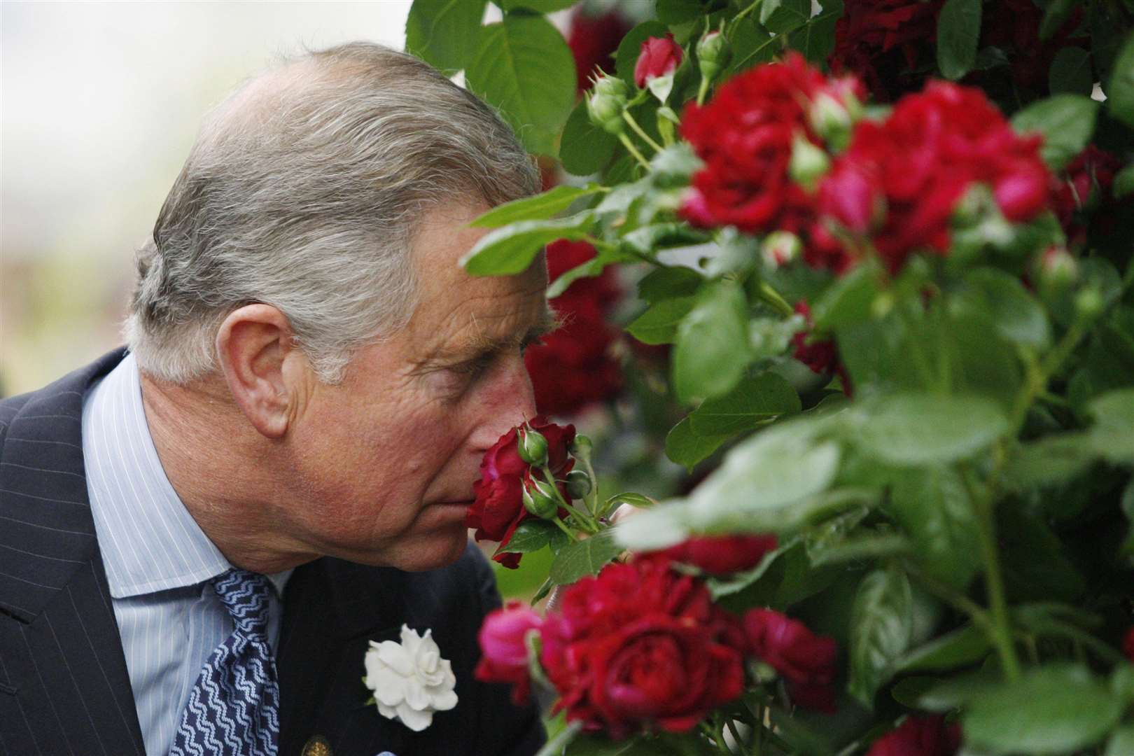 Charles is a keen gardener (Sang Tan/PA)