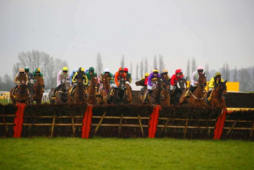 The 2016 Betfair Hurdle field