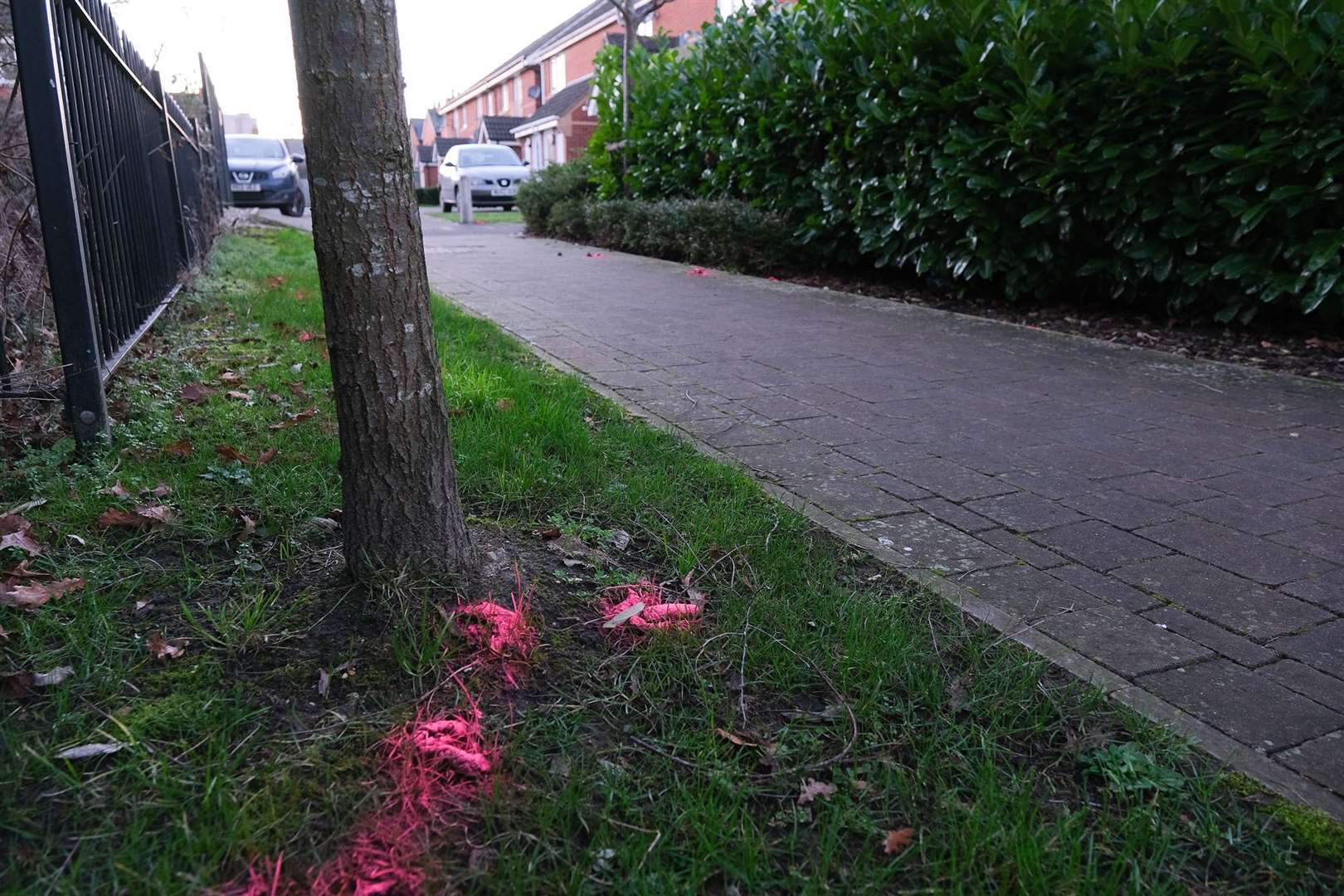 PPP appeal to clear up dog poo in Newbury