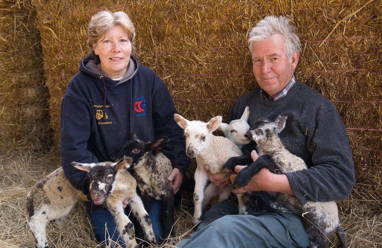 Simon Bastable and Kathe Davies lambing, see Saturday & Sunday