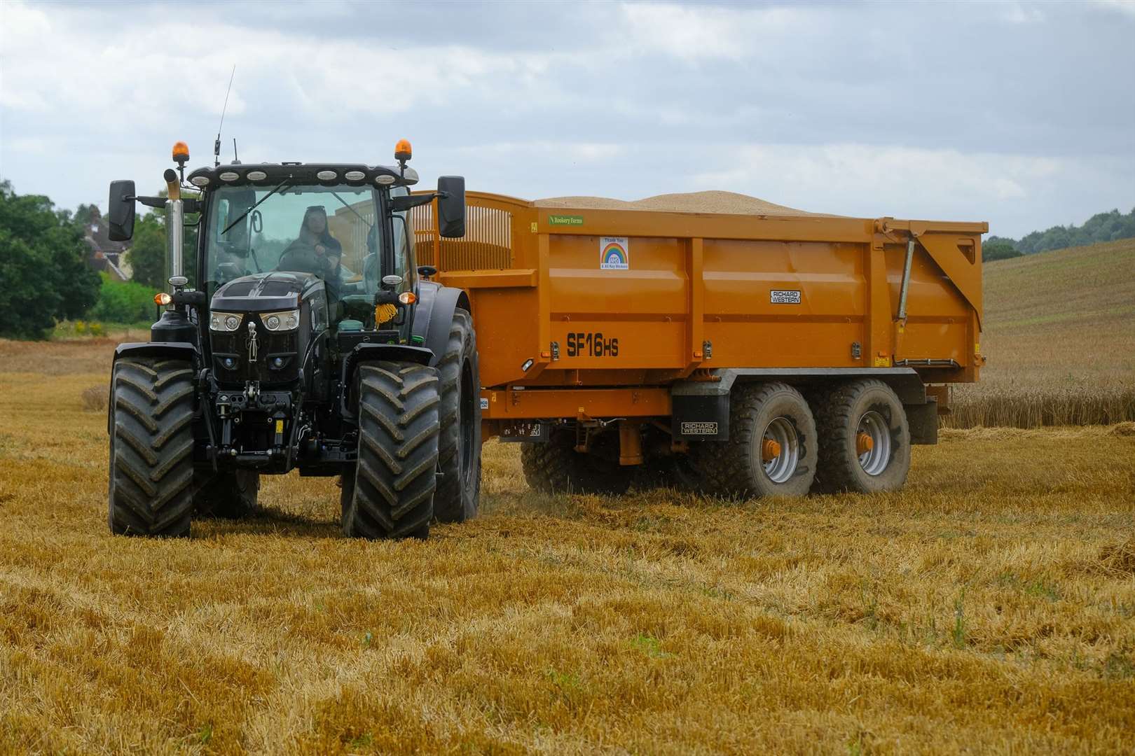 Gathering the crops