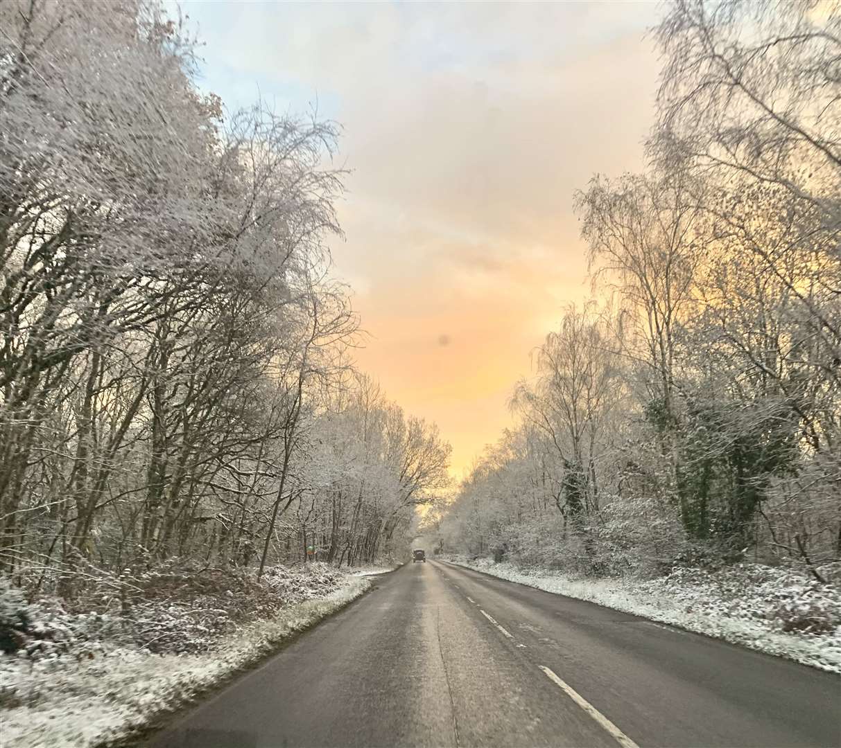 Georgia Holloway captured these lovely photos in Bucklebury this morning