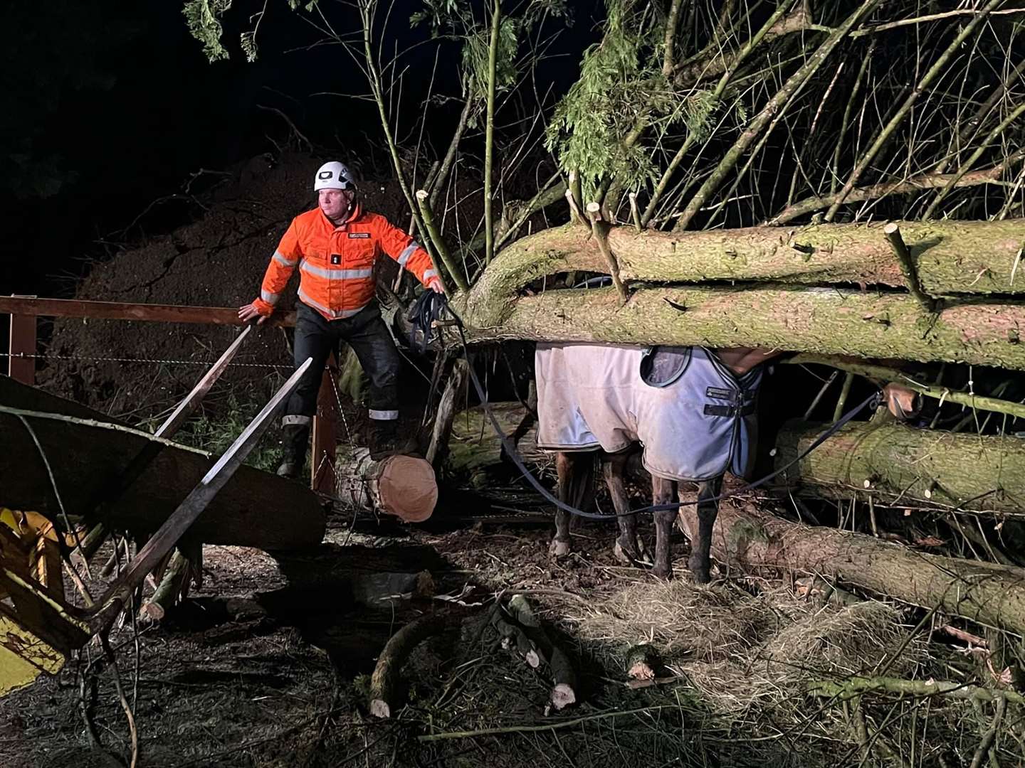 Working to rescue Cintia