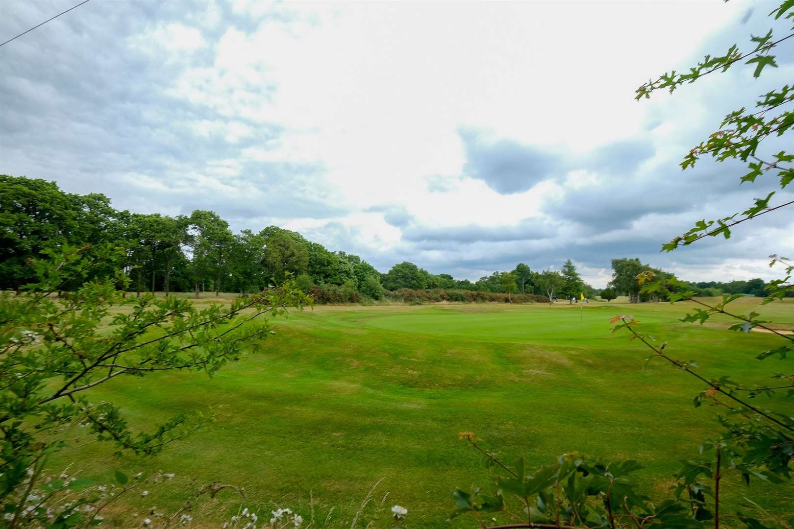 The 31 houses would be built on a patch of land next to the 14th and 15th holes on the golf course