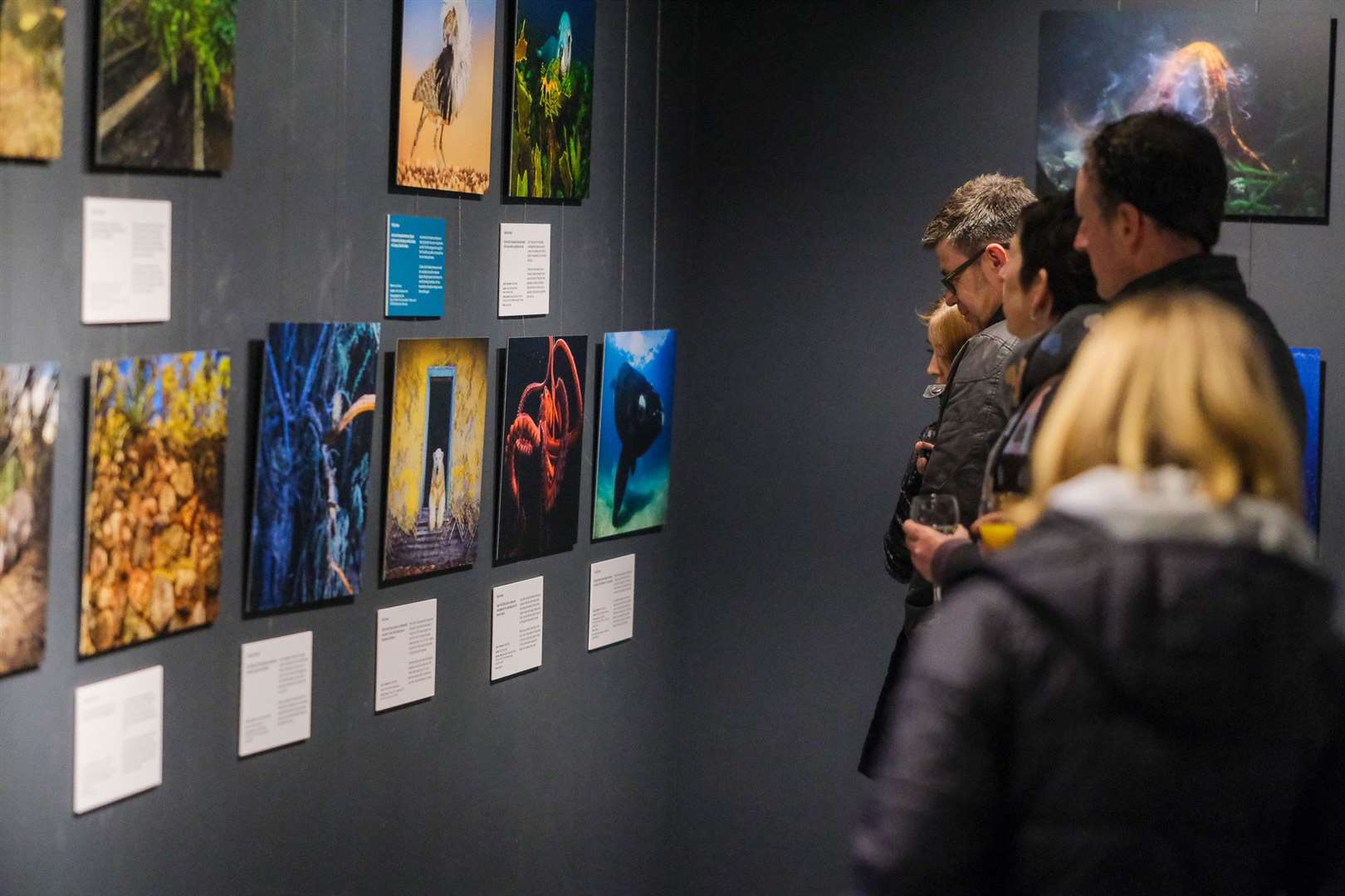 Wildlife Photographer of the Year exhibition at The Base