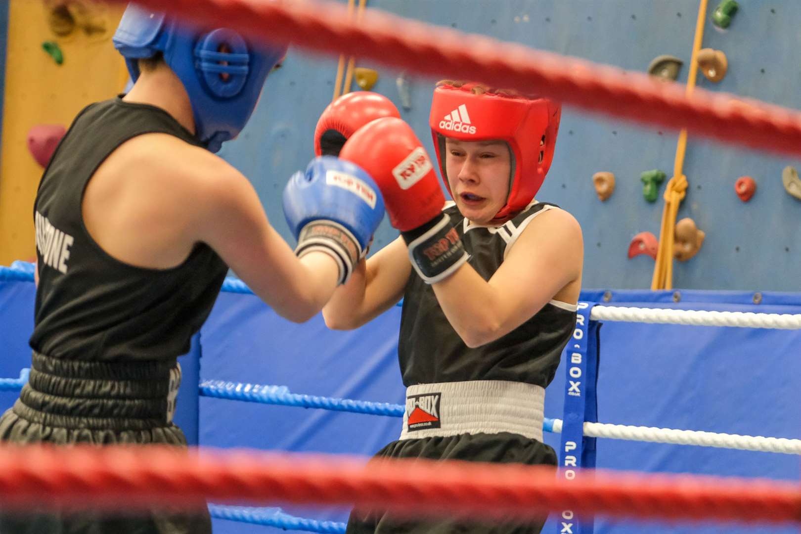 T. Newtown Cook (TV) vs J Cox (Braunstone Golden Gloves)