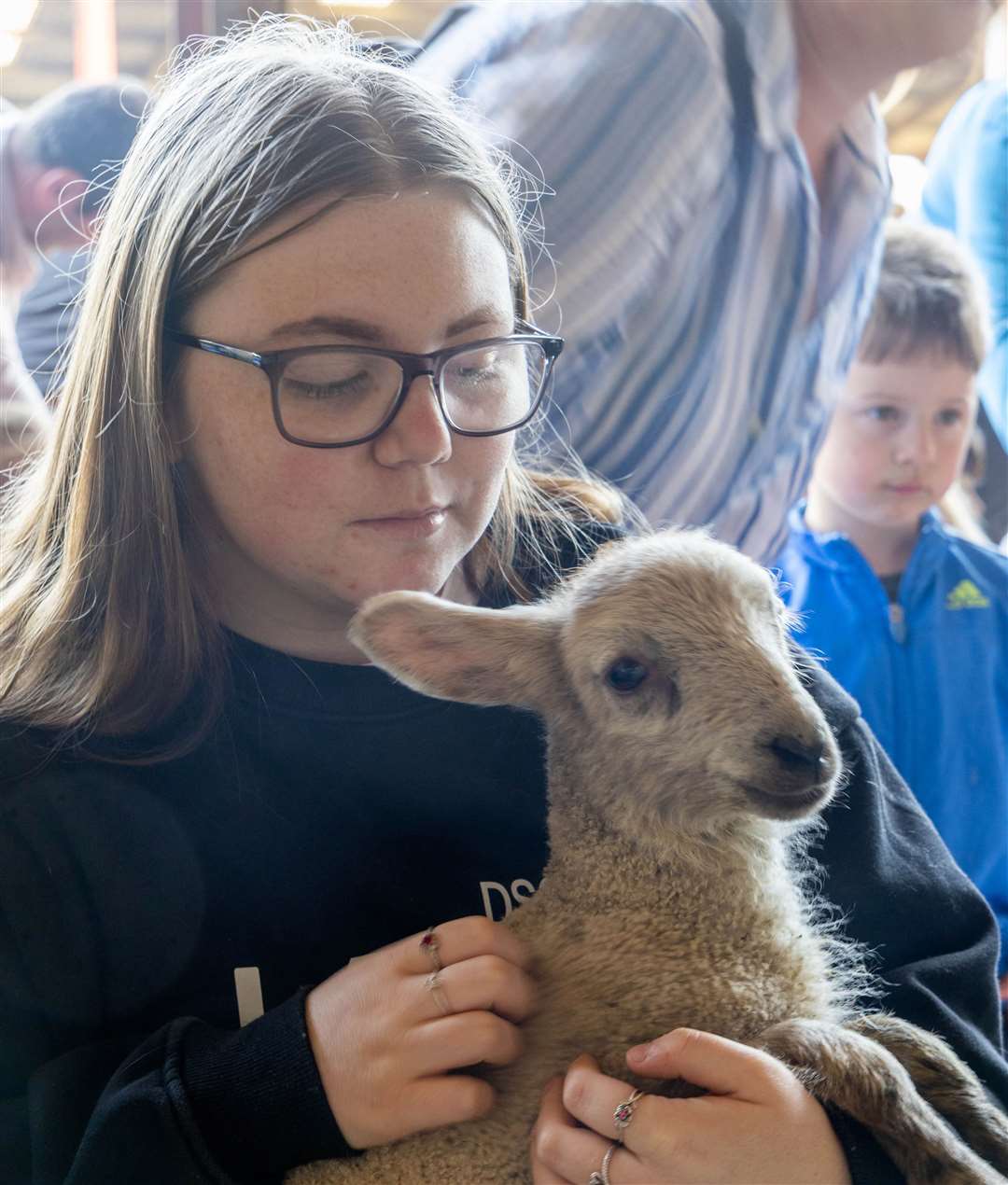 Lambing day at Foxglove Farm - Feeding the lambs