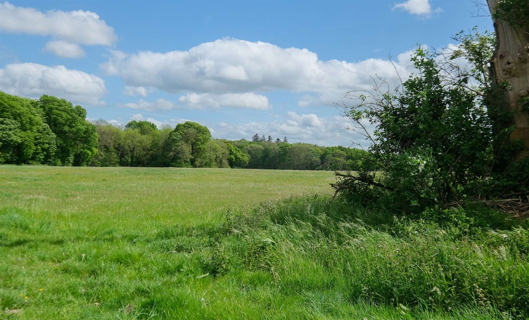 Sandleford